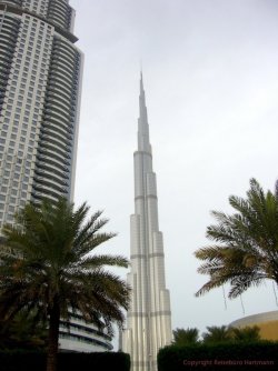 Dubai 6