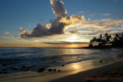 Hawaii 19