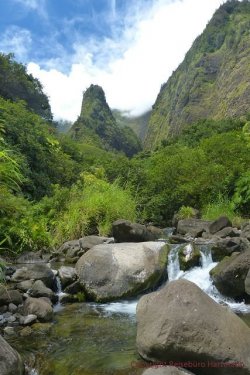 Hawaii 4