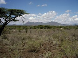 Kenia 30