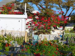 La Reunion 37