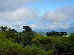 La Reunion 15