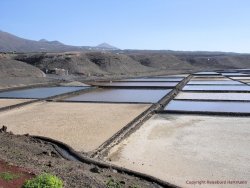 Lanzarote 13