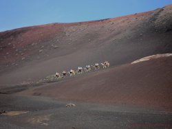 Lanzarote 8