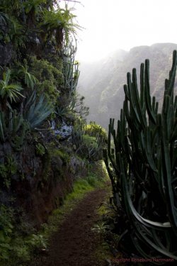 La Palma 17