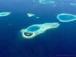 Malediven_CocoPalm 11