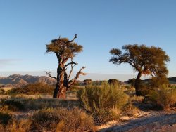 Namibia 9