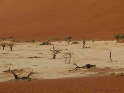 Namibia 1