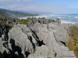Ozeanien_Neuseeland 23