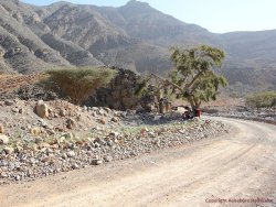 Oman 33