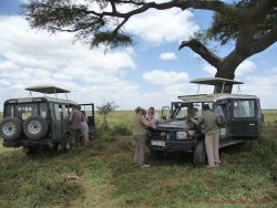 Tanzania 60
