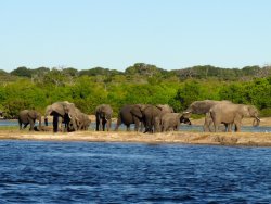 Botswana 2