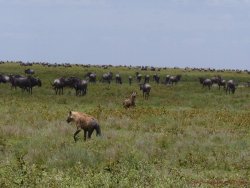 Tanzania 38