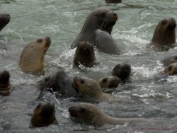 Peru 13
