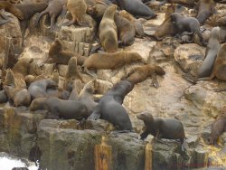 Peru 12