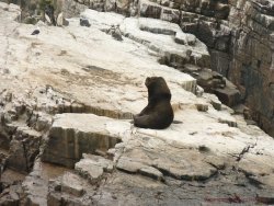 Peru 11