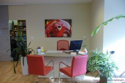 Reisebüro Hartmann Historie 39