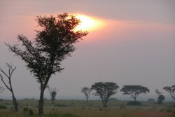 Uganda 49