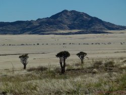 Namibia 14