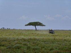 Tanzania 37