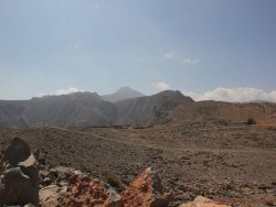 Oman 29