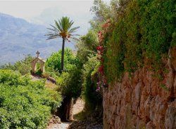 Mallorca 29