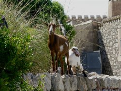 Mallorca 23