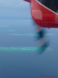 Malediven_CocoPalm 1